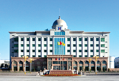 內(nèi)蒙古烏?；び邢薰韭葔A項目